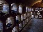 penzion_zajeci