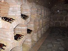 penzion_zajeci